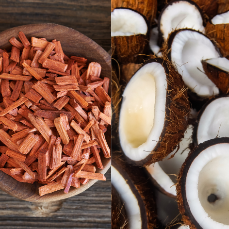 Fragancia Sándalo y Coco