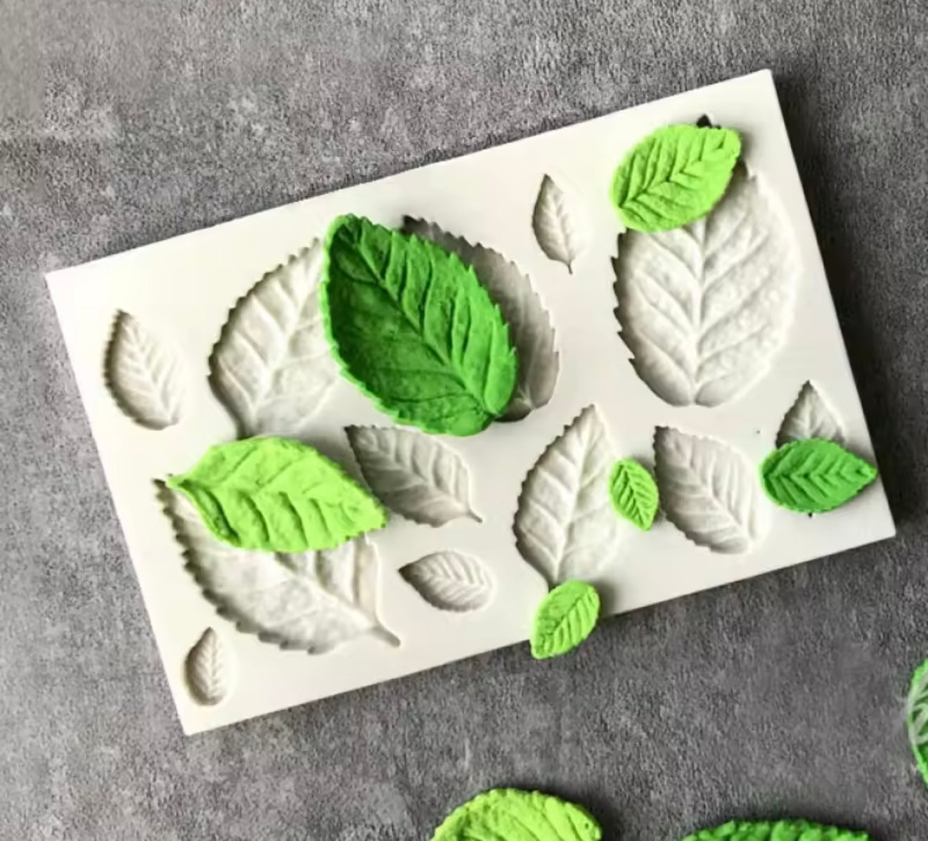 Molde de hojas