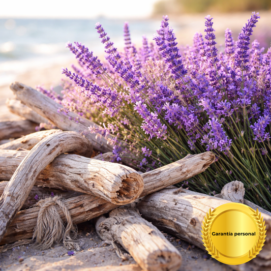 Fragancia Lavanda y Maderas del Mar