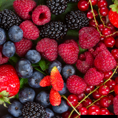 Fragancia Frutos Rojos